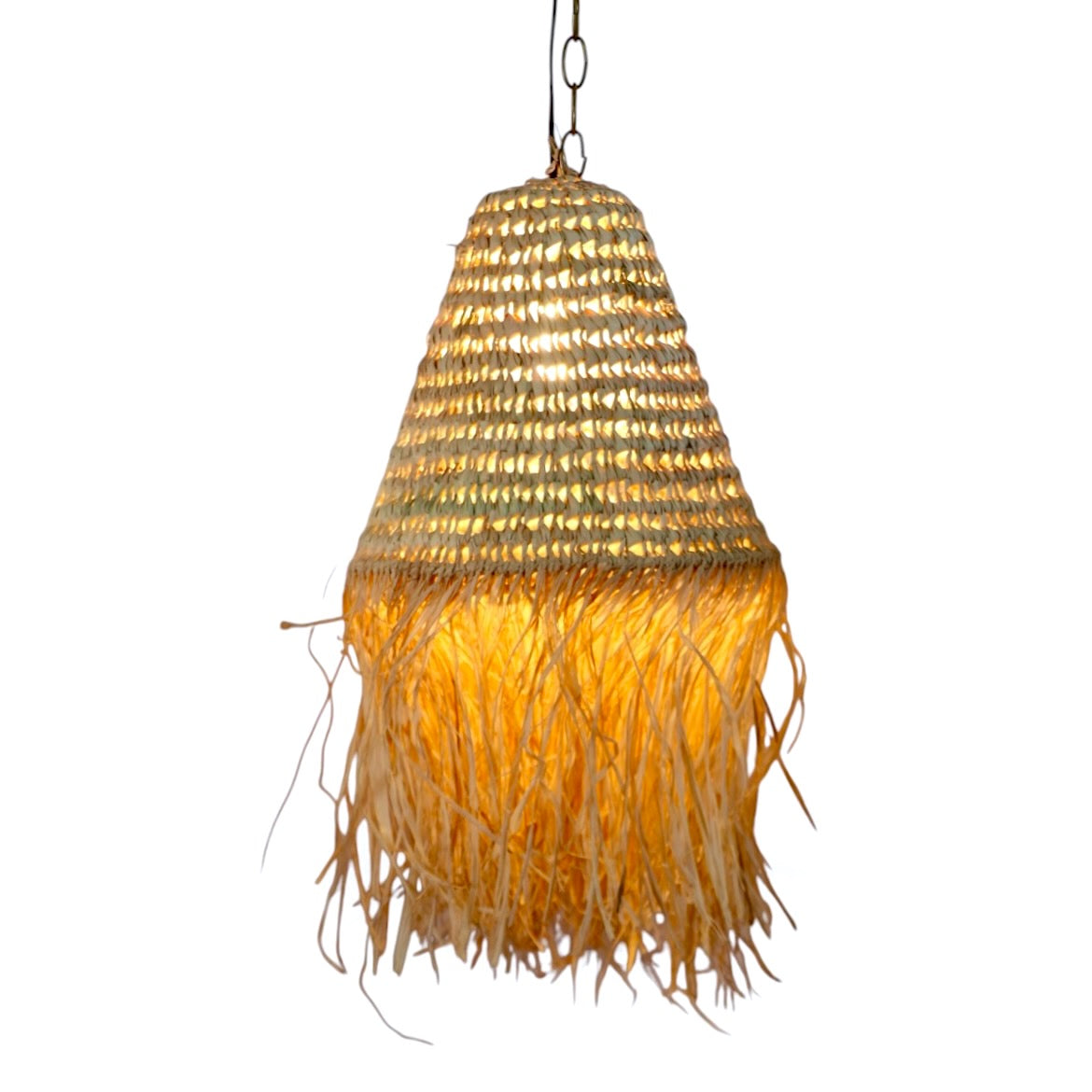 Boho Palm Leaf Pendant Light
