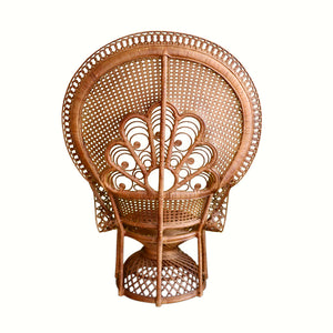 Peacock Chair